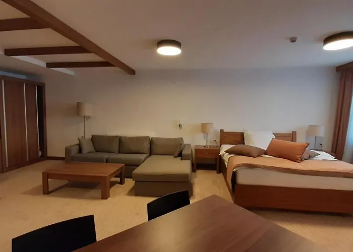 B332 Vucko Private Host Apartment Jahorina